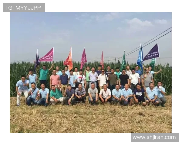 武汉乒乓球队重塑辉煌之路的反击与创新策略探讨